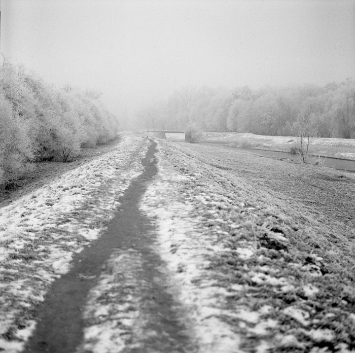 szadź