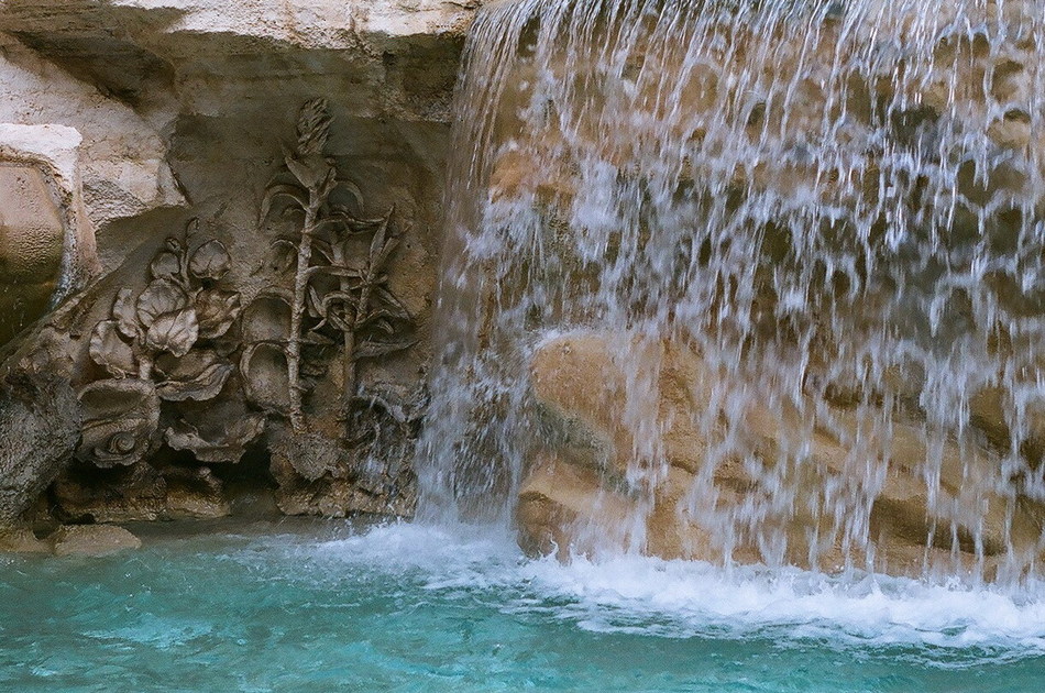 skamieliny