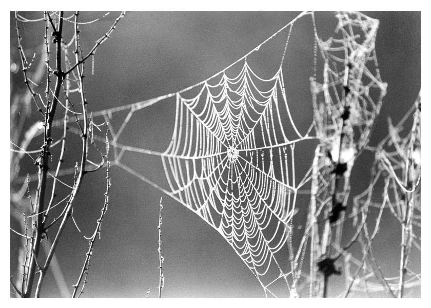 wariacje sieciowe o piątej rano cd