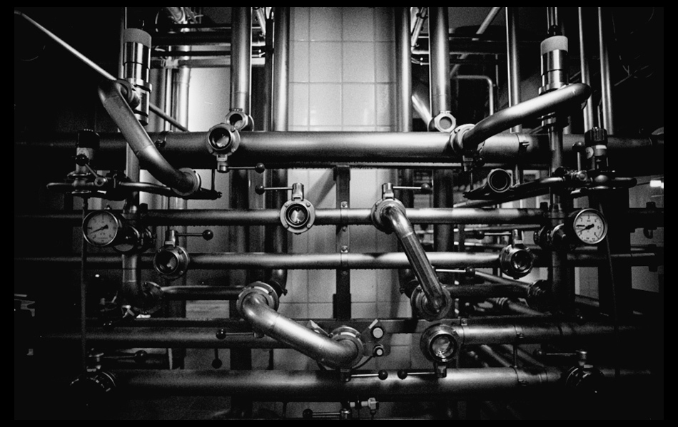 to, co tygrysy lubią najbardziej...