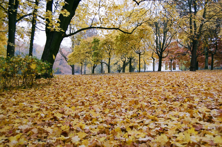 Park