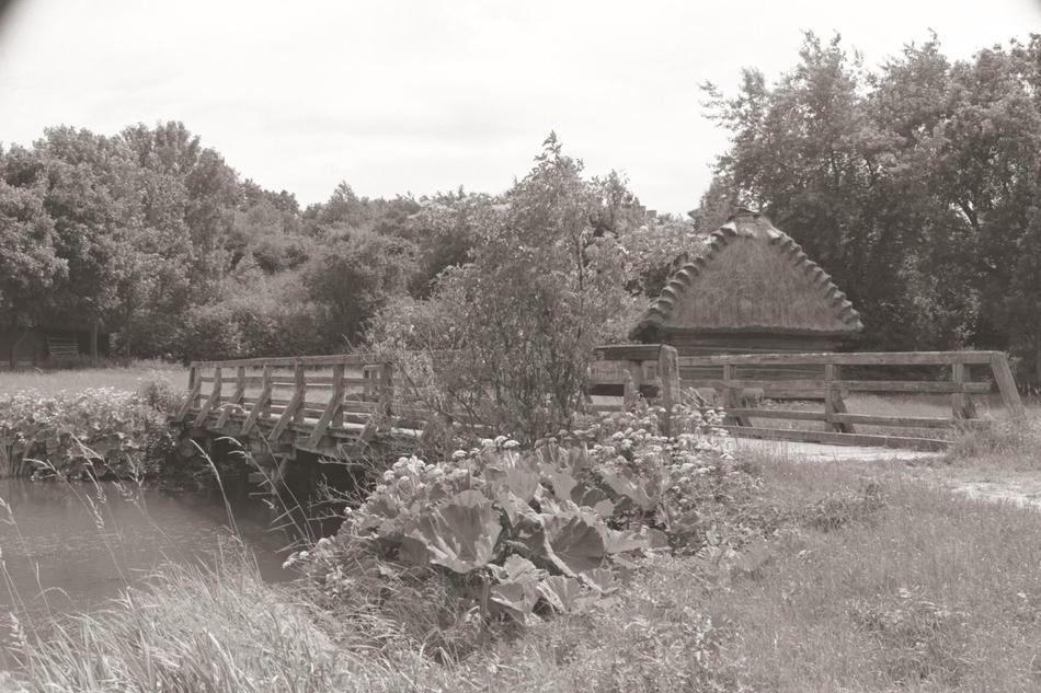 Muzeum Wsi Lubelskiej.