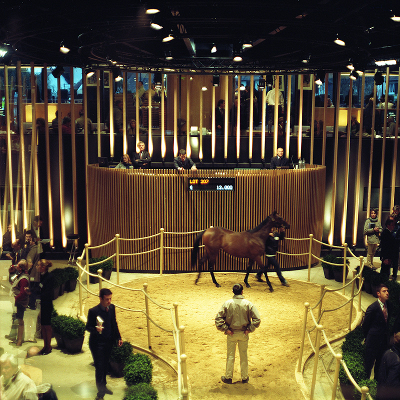 Aukcja w Deauville