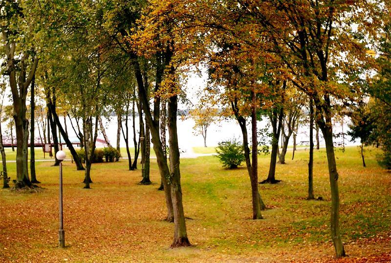 Park 1