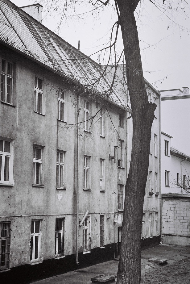 drzewo i dom