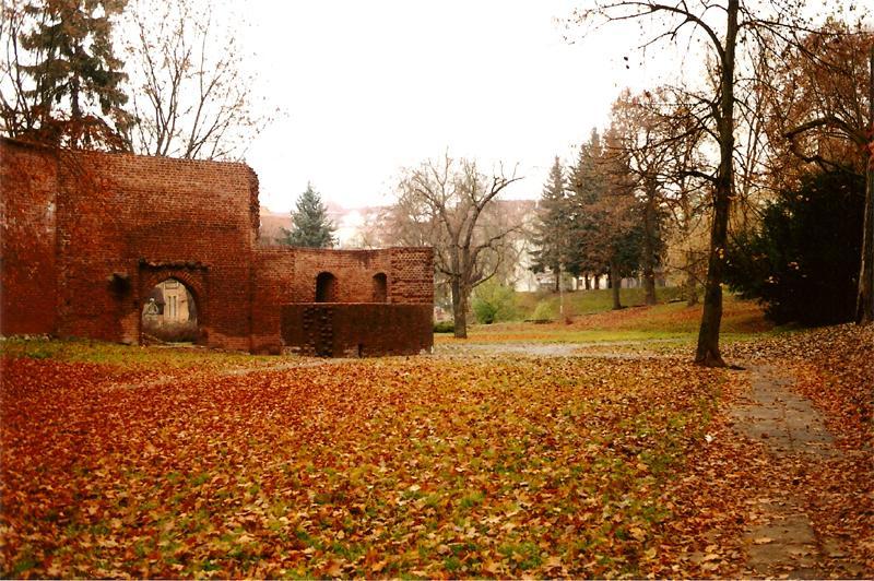 Park 2