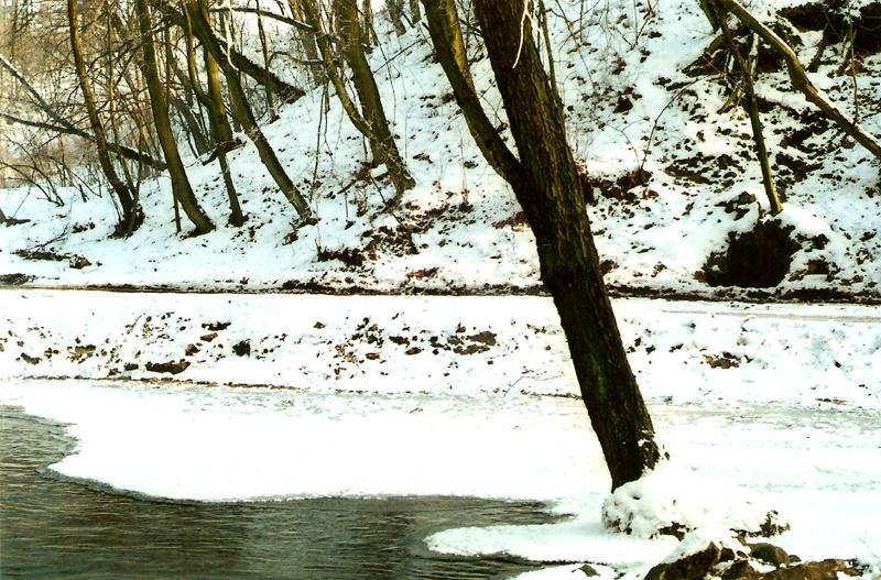 Zima