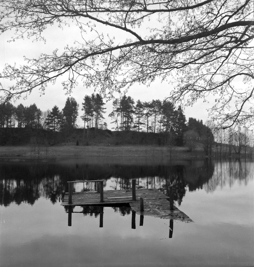 Samań. Okolice Sejn.