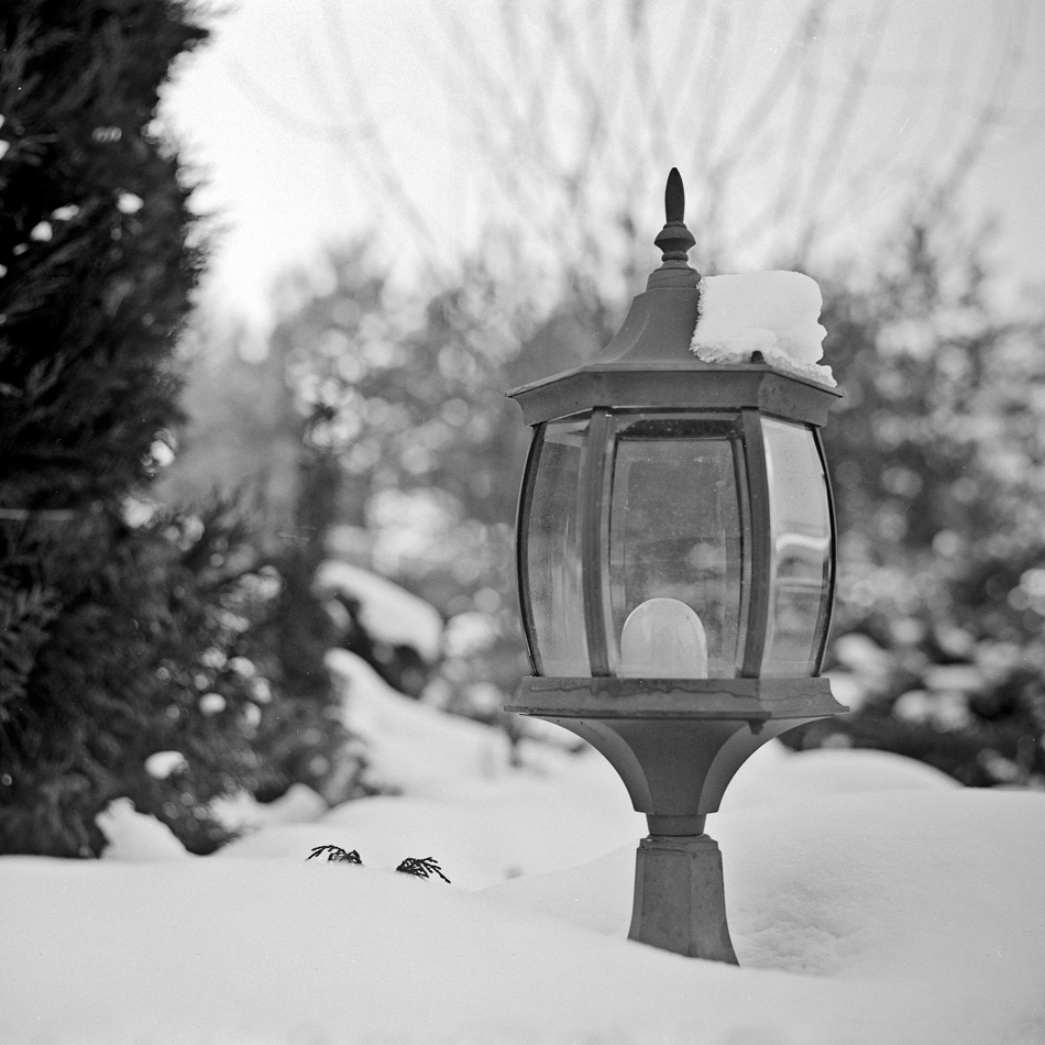 Lampa w ogrodzie