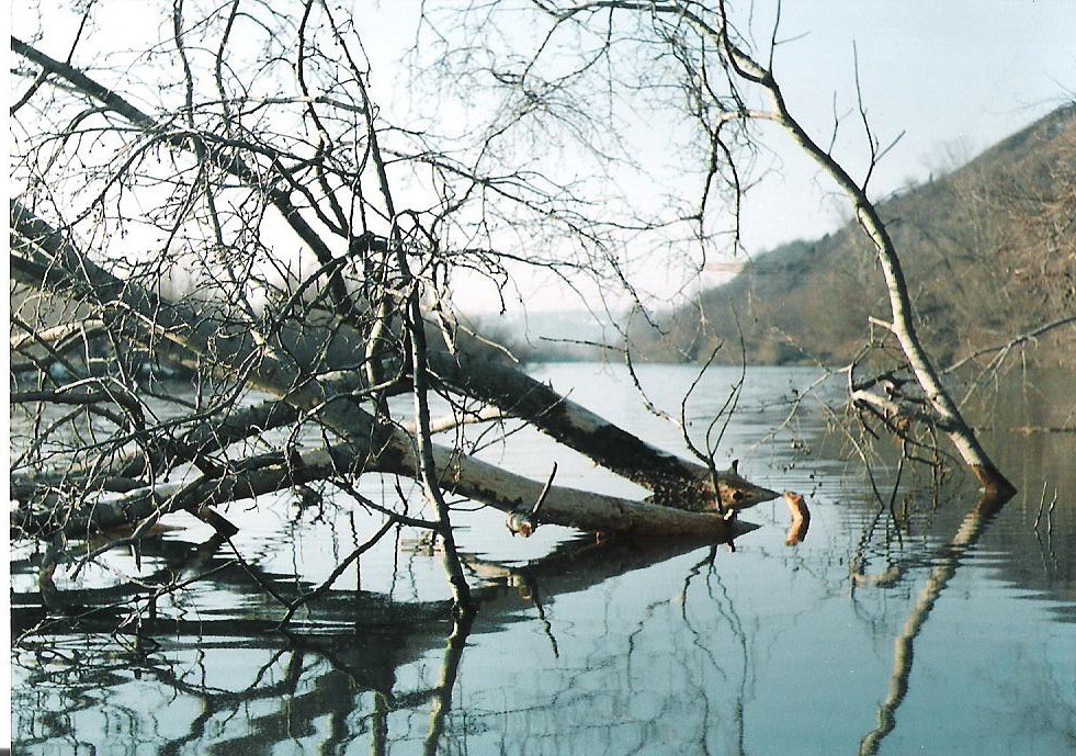 okolice Sandomierza Wisełka