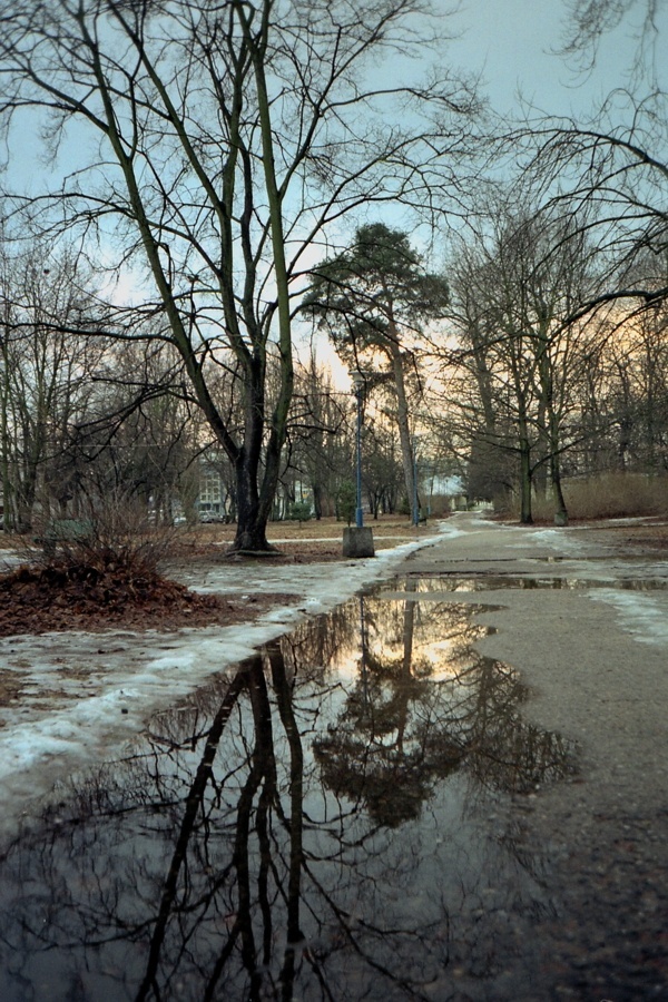 przedwiośnie