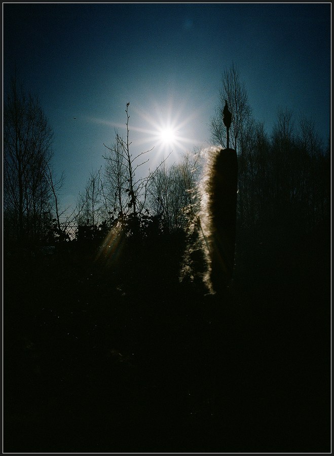 Pałka