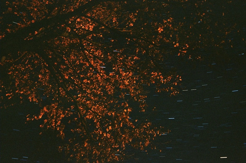 Nocne próby