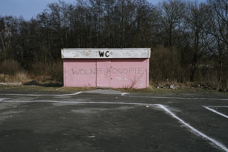 WolneConopie