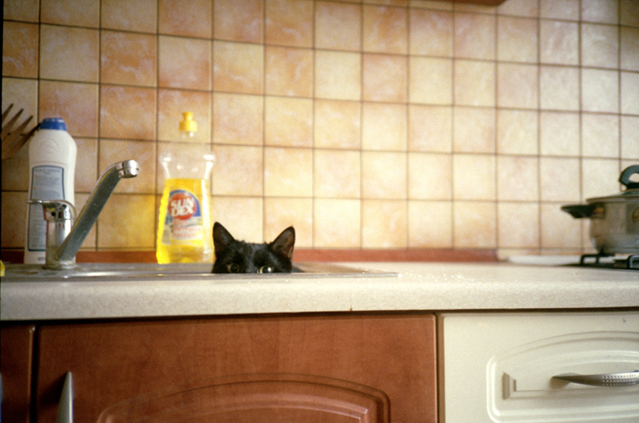 Uroczyście przysięgam...