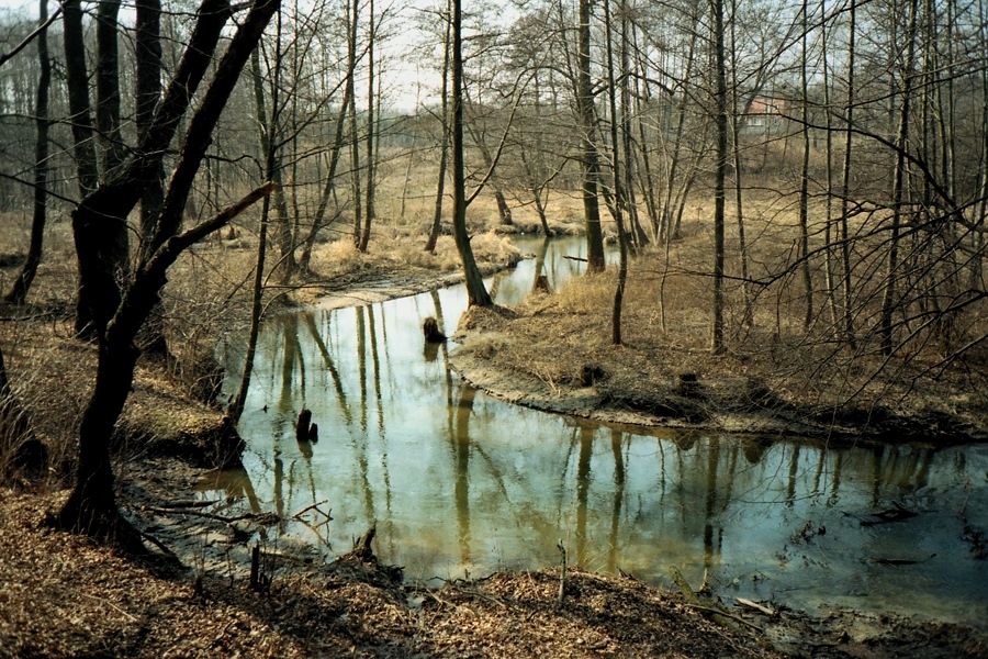 Bagno 2