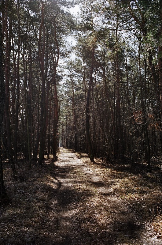 zawsze był tu spokój