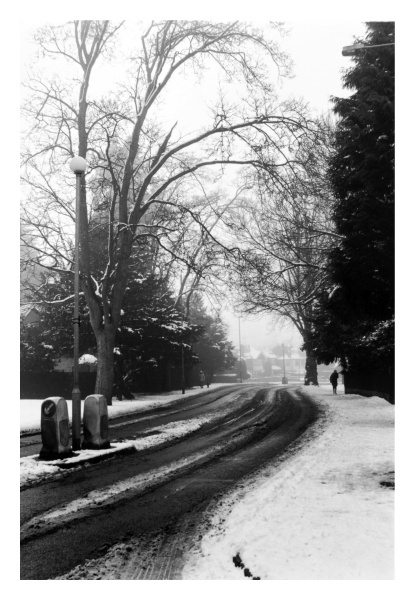 Winter in Leicestershire