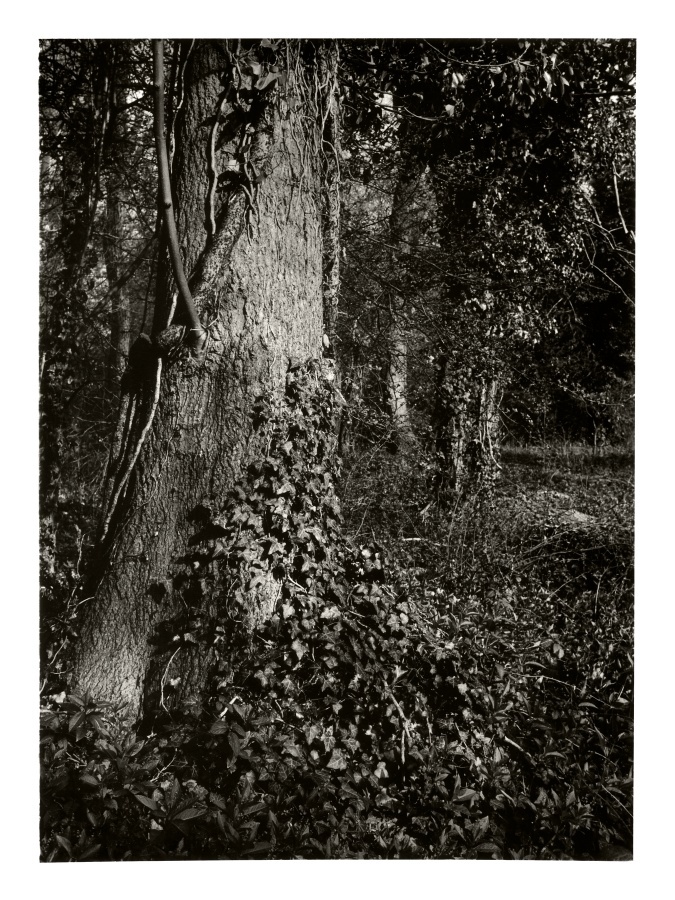 Braunstone Lane Park