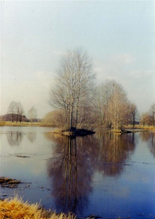 przedwiośnie