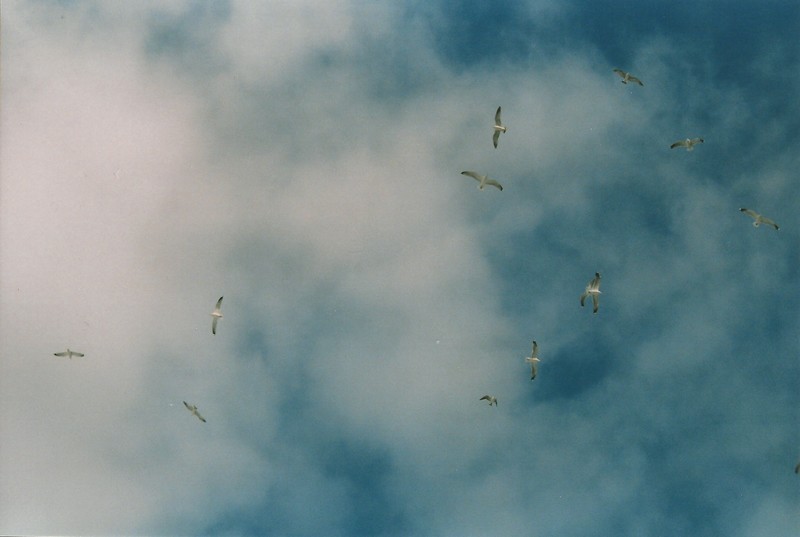 Pierwszy film...