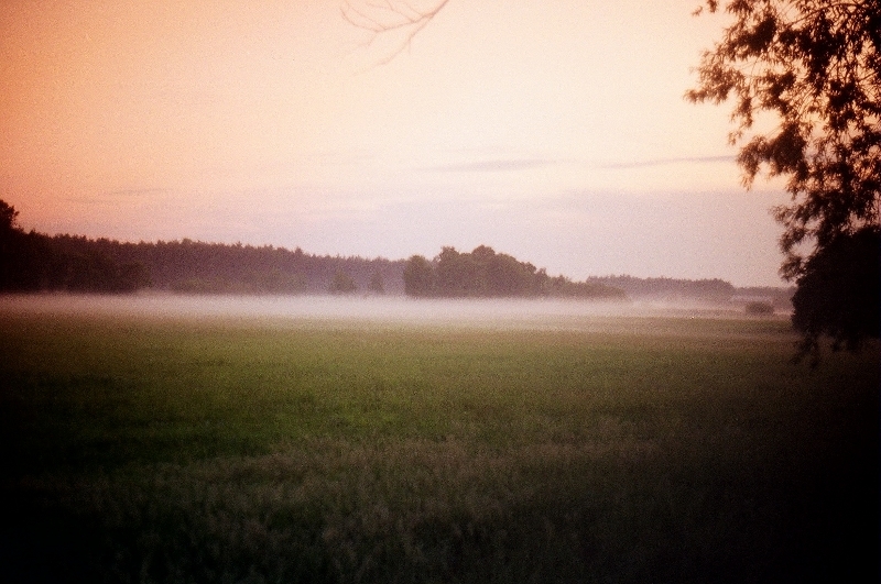 Mgiełka