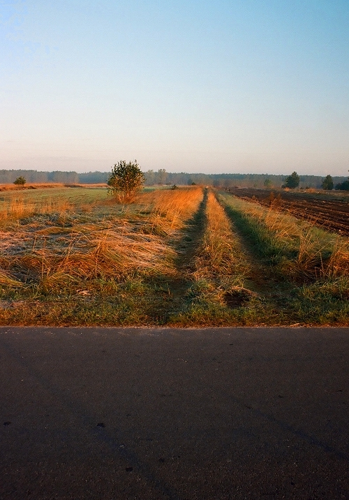 Droga przez pola