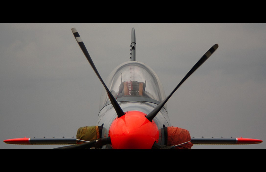 orlik