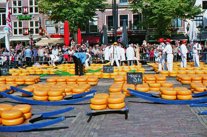 Targ serowy w Alkmaar