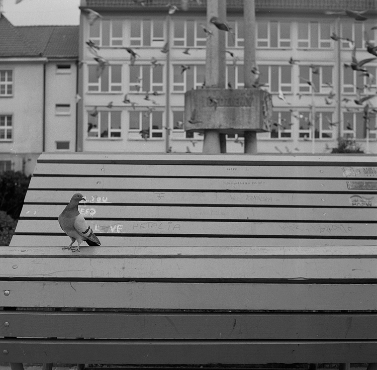 "Ławka do leżenia"