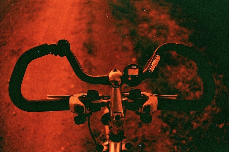 Redbird