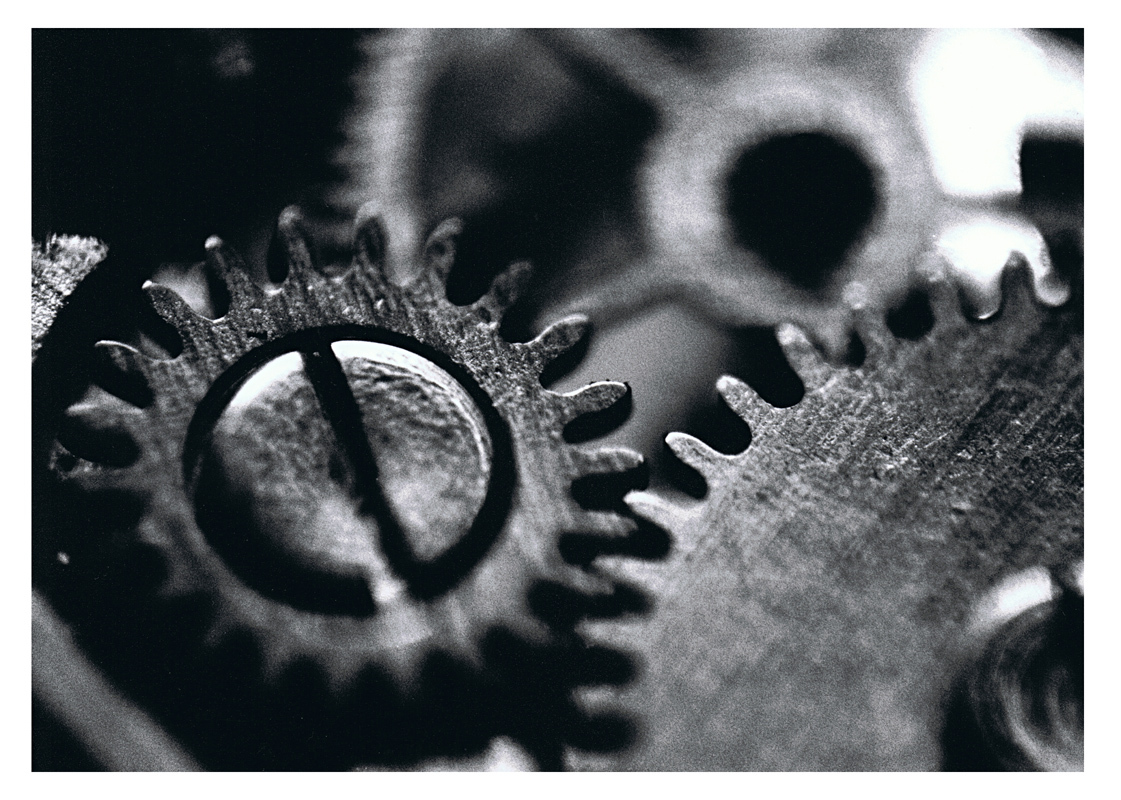Macro Zegarek