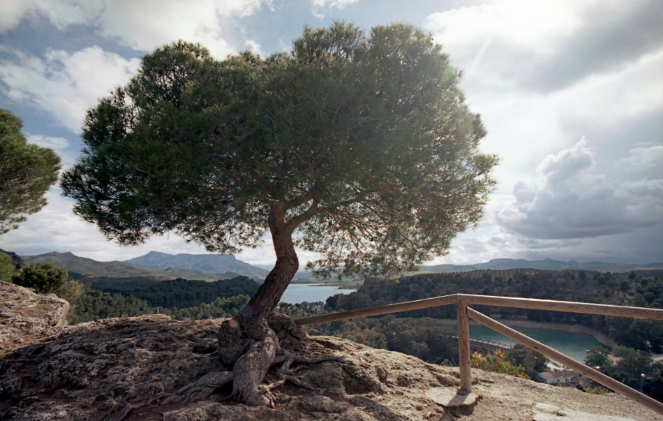 El Chorro