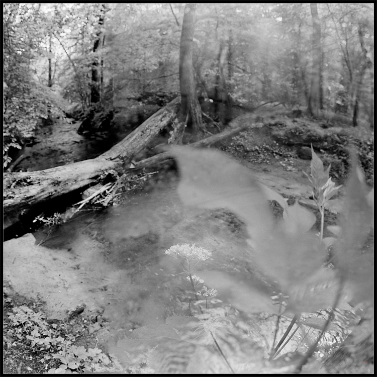 Kacza rzeka. Chwast raz