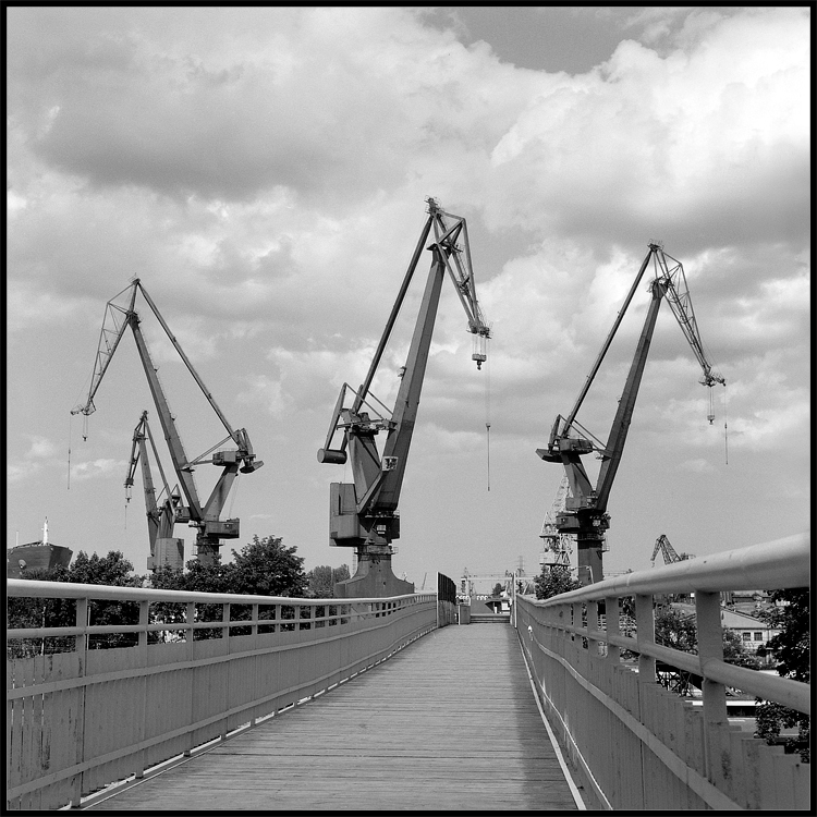 Krótkie opowieści: Żurawie na wylocie