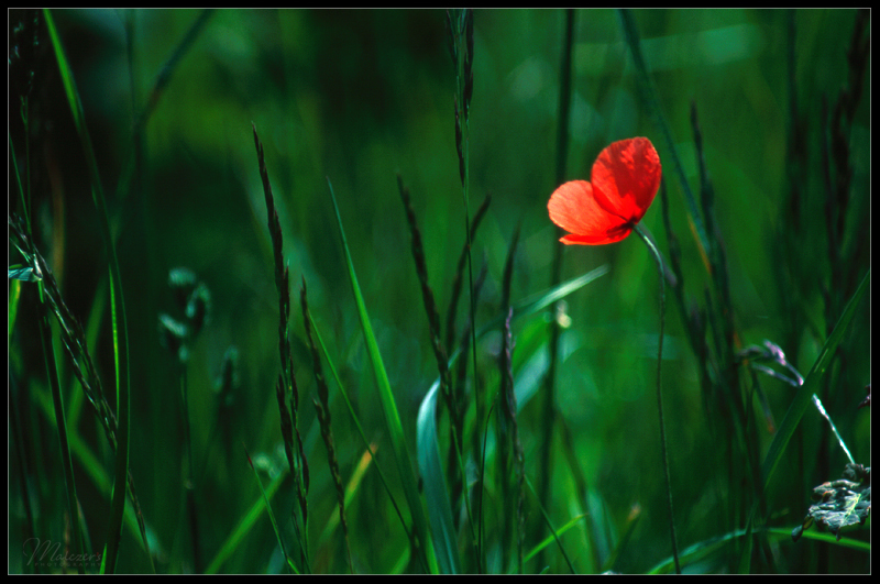 Kacza rzeka. I okolice