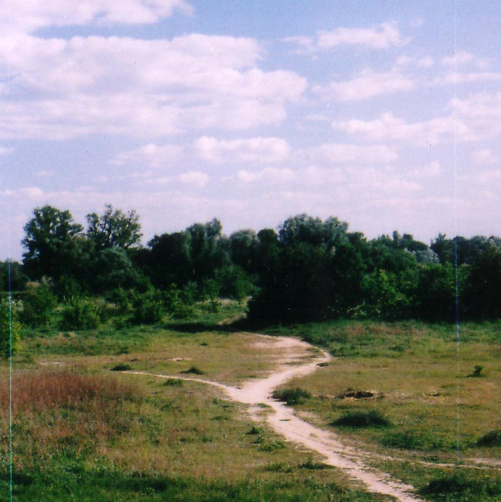 Wrocławska Odra