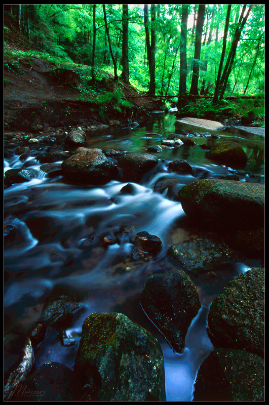 Kacza rzeka. Sobie płynie