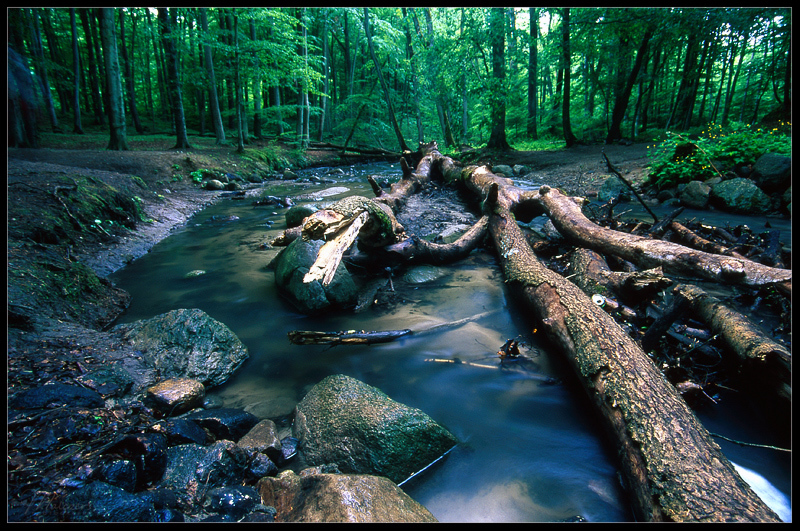 Kacza rzeka. Z górki