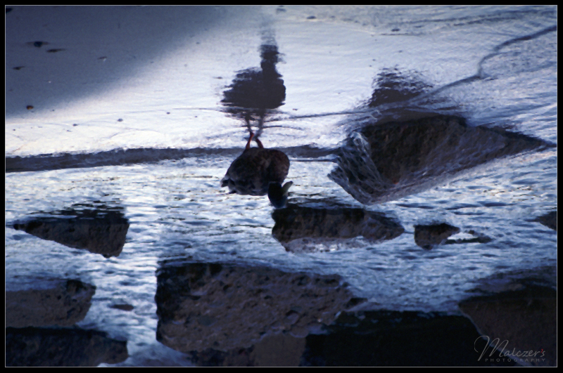 Najbardziej nietrafiony tytuł ;)...