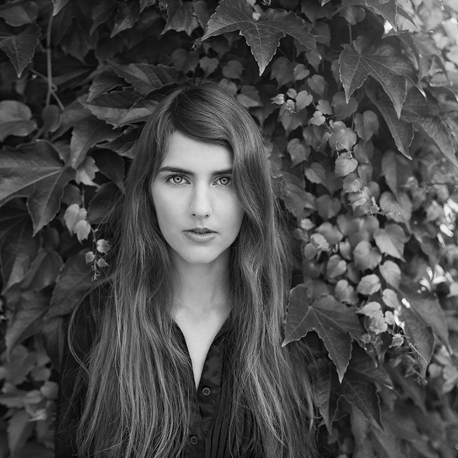 Aurelia