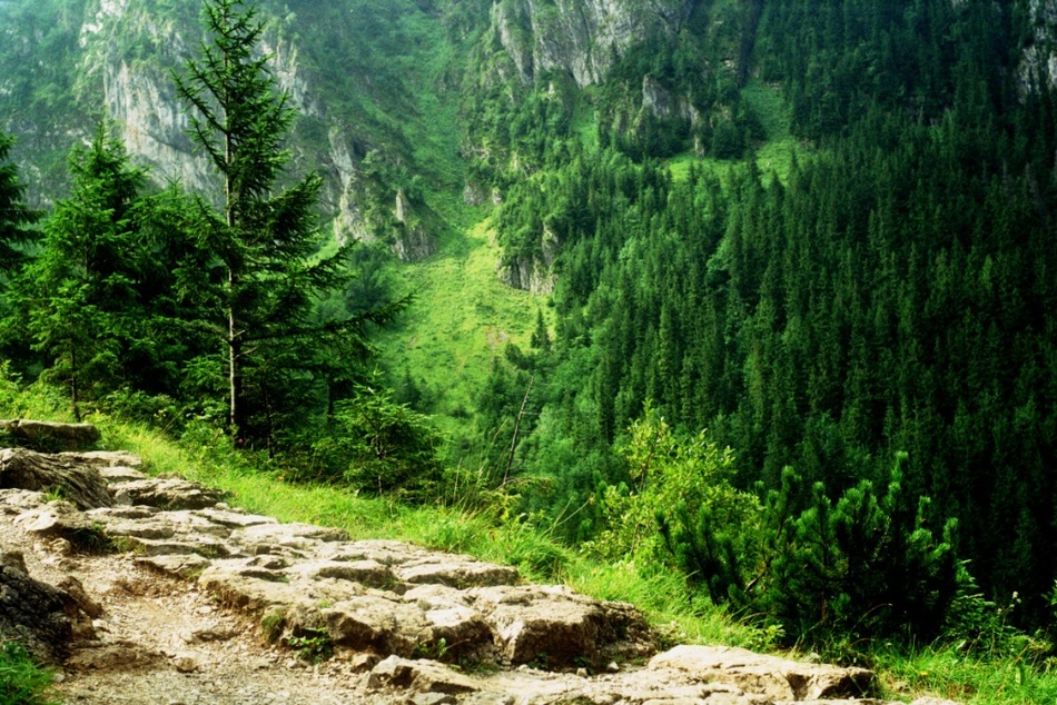tatry