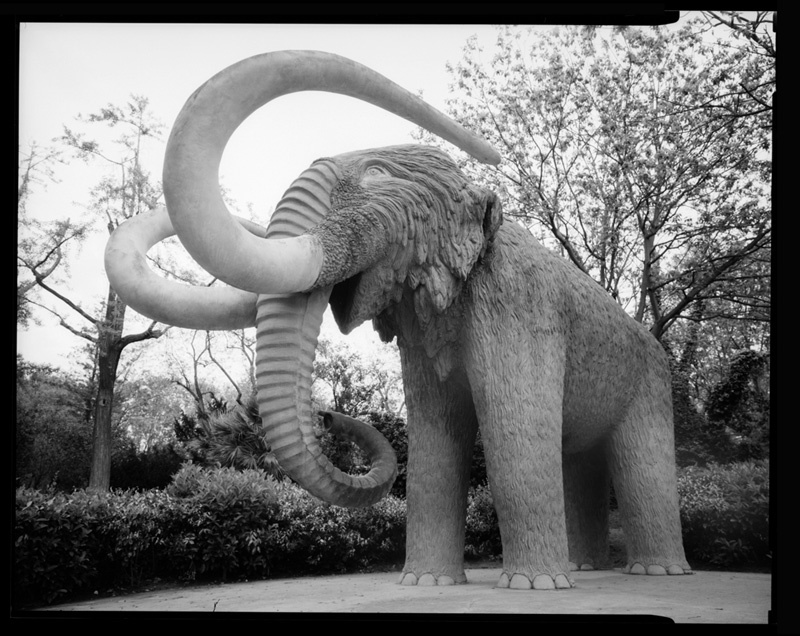 MAMUT