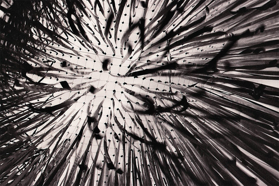 Koncert na wstążki