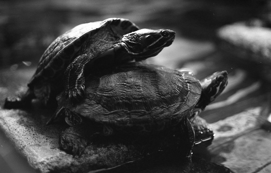 Sex w wielkim mieście :)