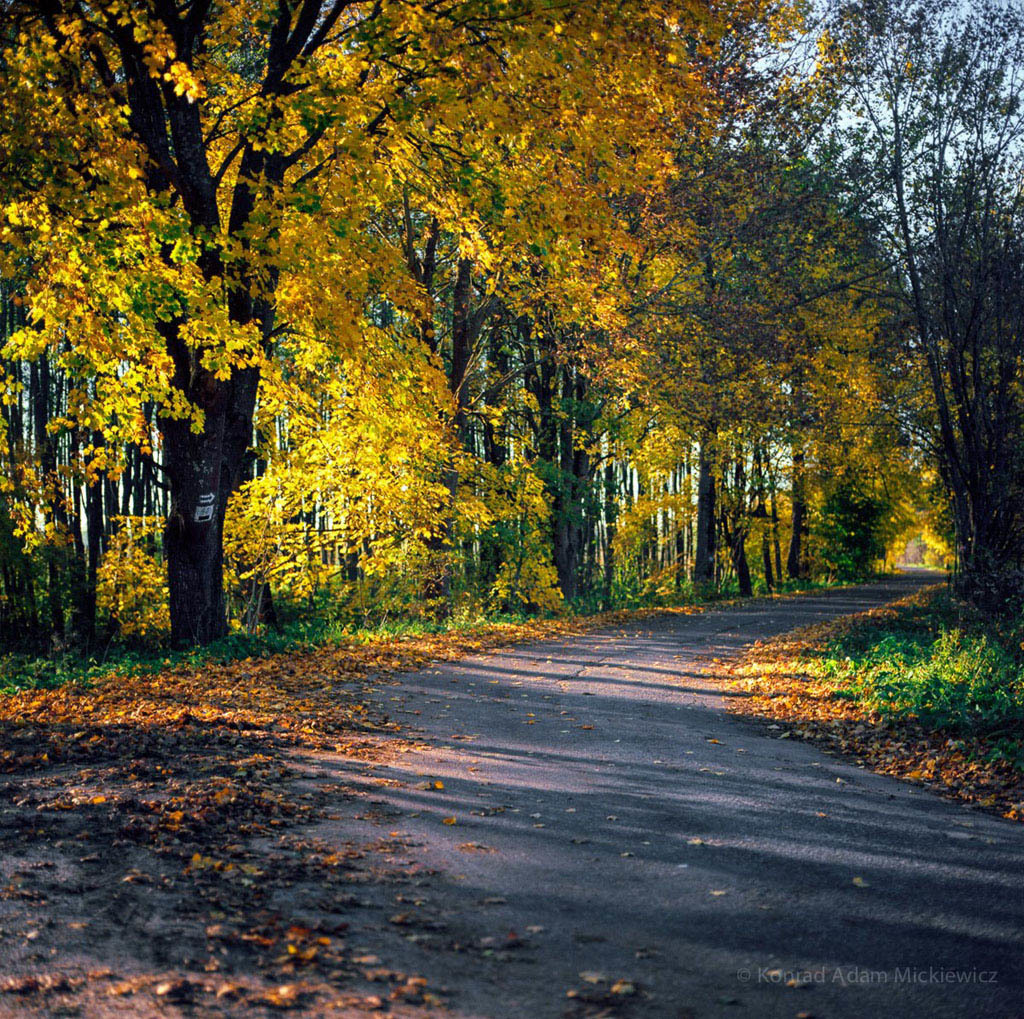 jesieniowo cztery...