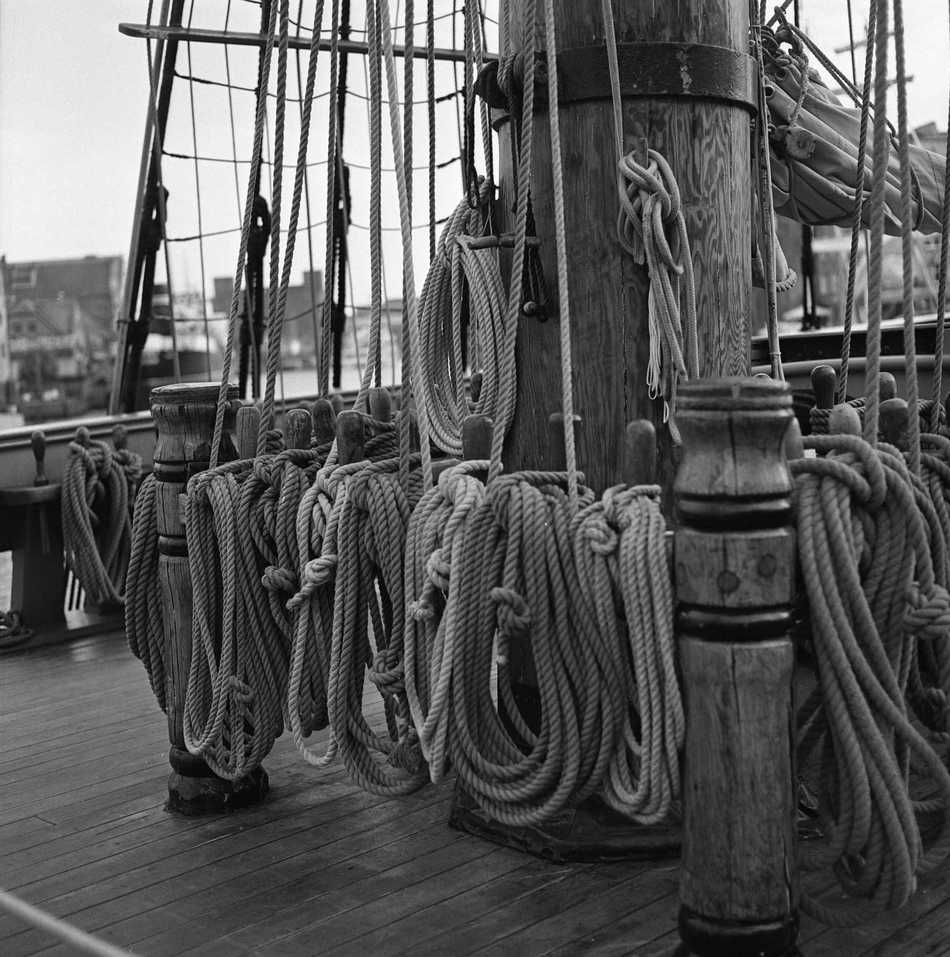 hej, razem bracia do lin ...