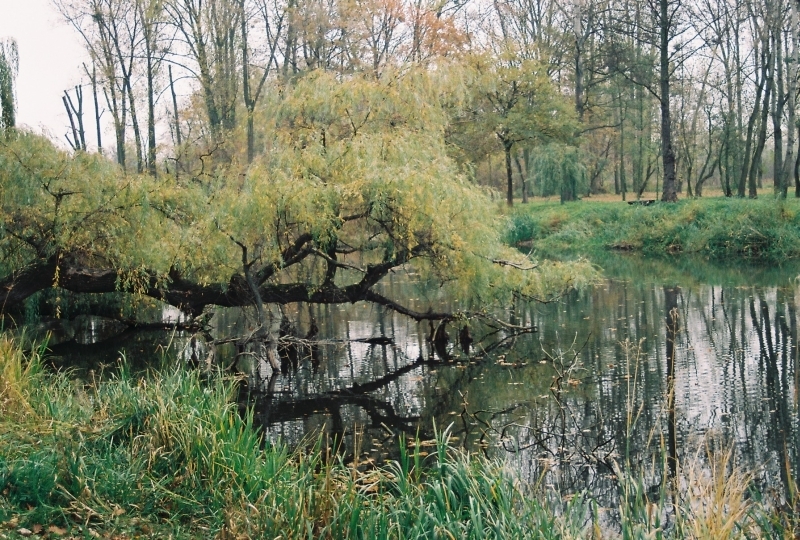 Jesień