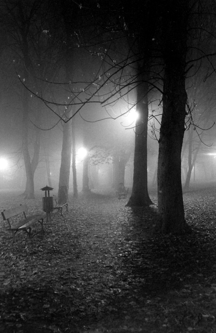 pusty park