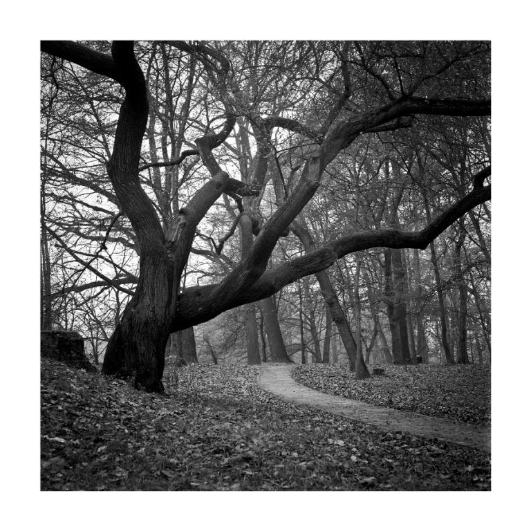 park szczytnicki
